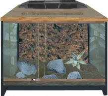 Glasterrarium.png