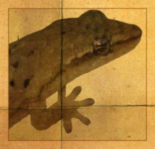 Ein Jungferngecko schaut nach rechts